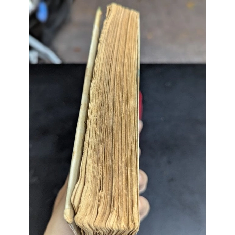 Mối tình của chàng nhạc sĩ - Hermann Hesse 795515