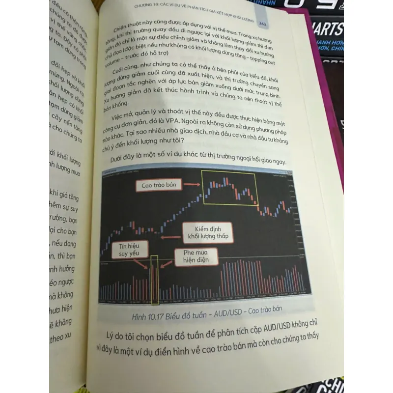 Phương pháp VPA bản in màu 1006451