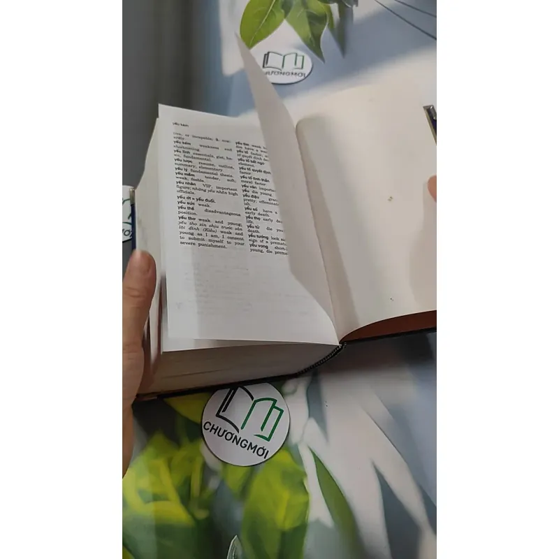 Từ Điển Việt - Anh - Bùi Phụng 749584