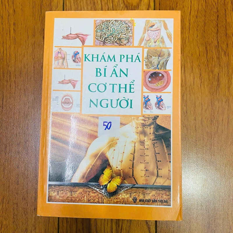 Khám phá bí ẩn cơ thể người 383270