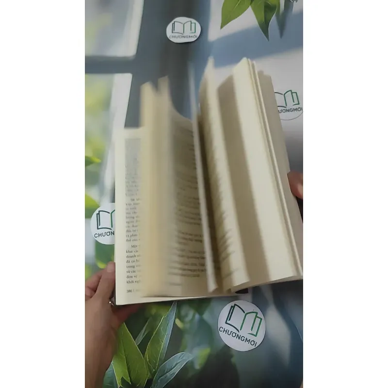 [MIỄN PHÍ BỌC SÁCH] Doanh Nhân Việt Nam Trong Lịch Sử - Trần Thuận 1018920