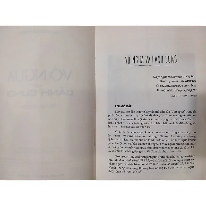 Vó ngựa và cánh cung - Nguyễn Duy Chính 601084