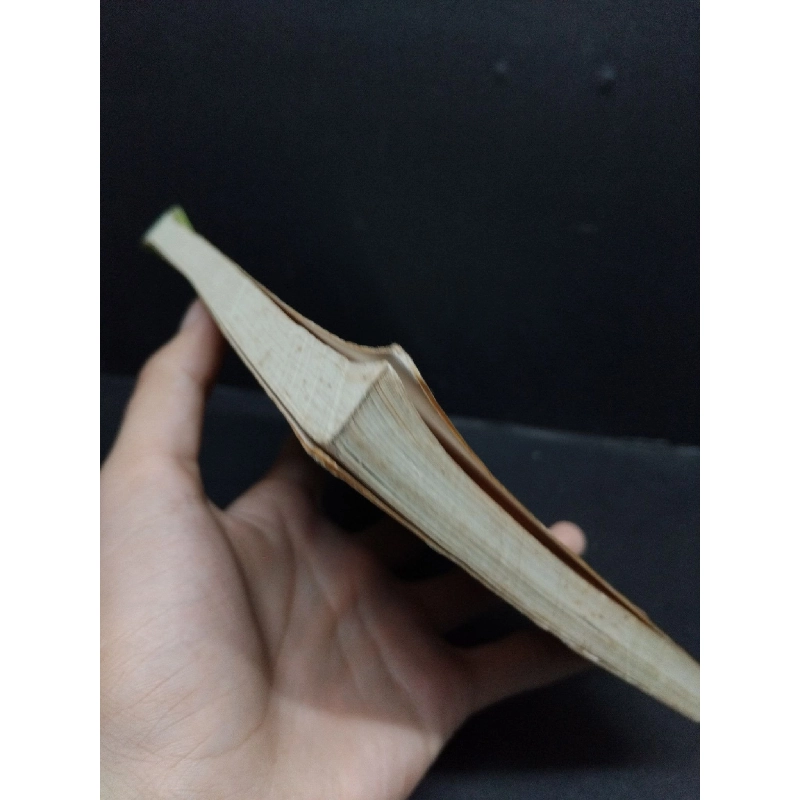 Nghệ thuật nuôi chim hót - chim kiểng mới 60% ố nhẹ 2003 HCM2207 Trần Văn Thêm - Huỳnh Văn Xít KỸ NĂNG 916412