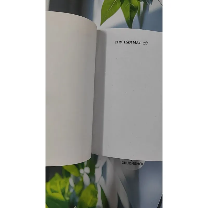 Thơ Hàn Mặc Tử - Phạm Du Yên 798424