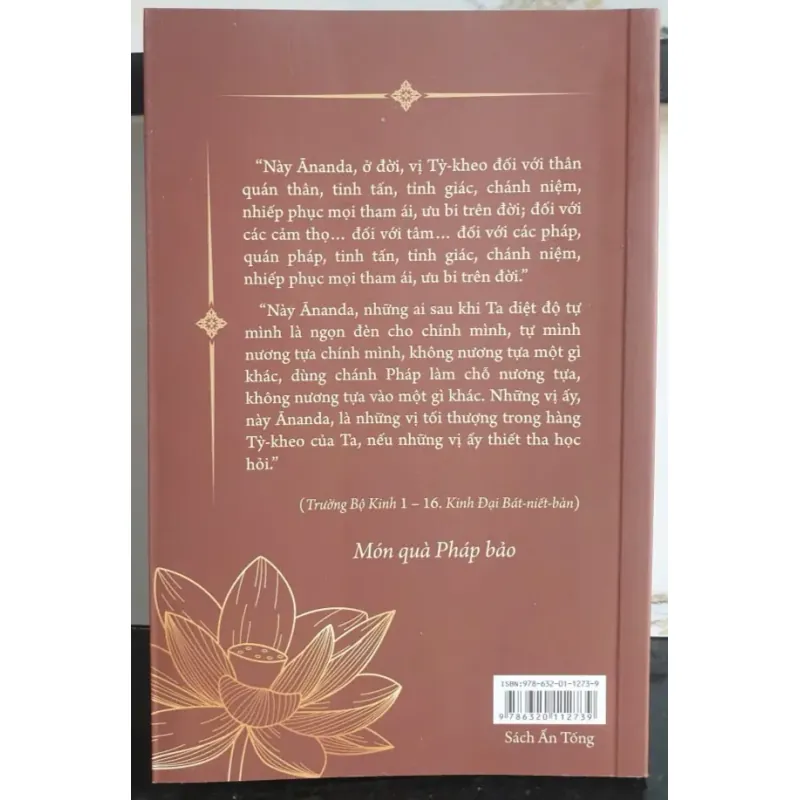 Tứ Niệm Xứ - Hành Trình Minh Sát Qua Các Phương Pháp Thiền 796147