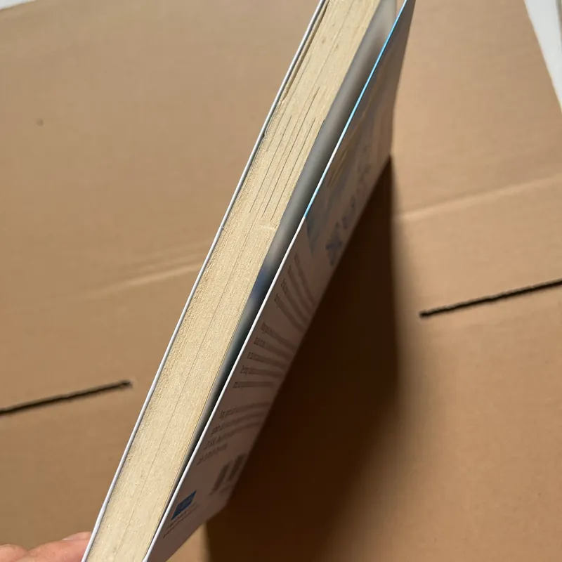 Trở về từ cõi sáng 603020