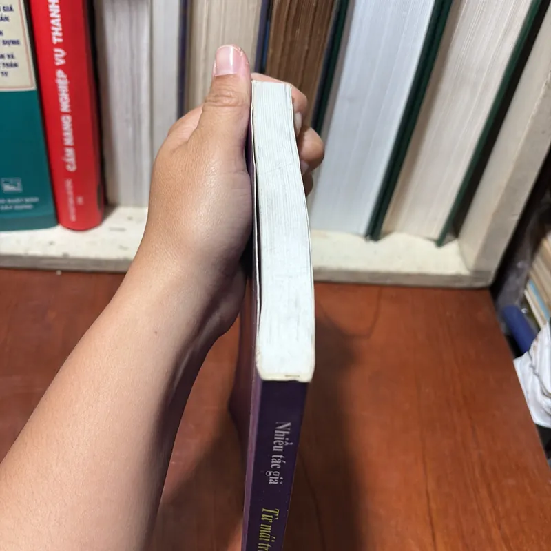 II Văn Học: Từ Mái Trường Bên Dòng Nhật Lệ - Nhiều Tác Giả - 2019 723287