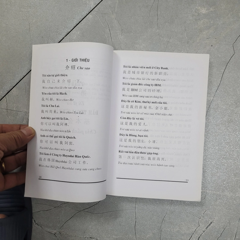 4500 câu giao tiếp Hoa Việt 549056