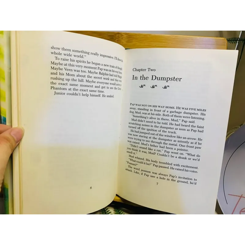 [Sách tiếng Anh 2hand] Like new 90% - 🤩 The Blossoms and the Green Phantom – Betsy Byars 606298