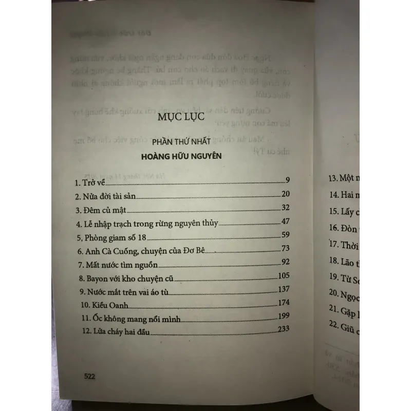 Đốt trúc - Nguyễn Đắc Nhữ 1002237