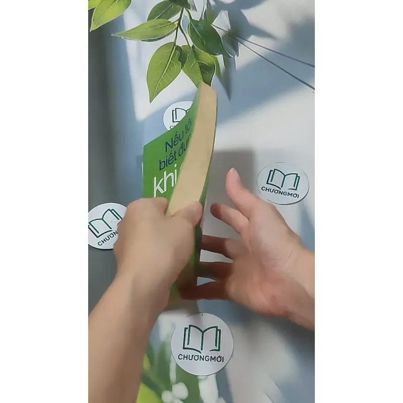 Nếu tôi biết được khi còn 20 - Tina Seelig 688545