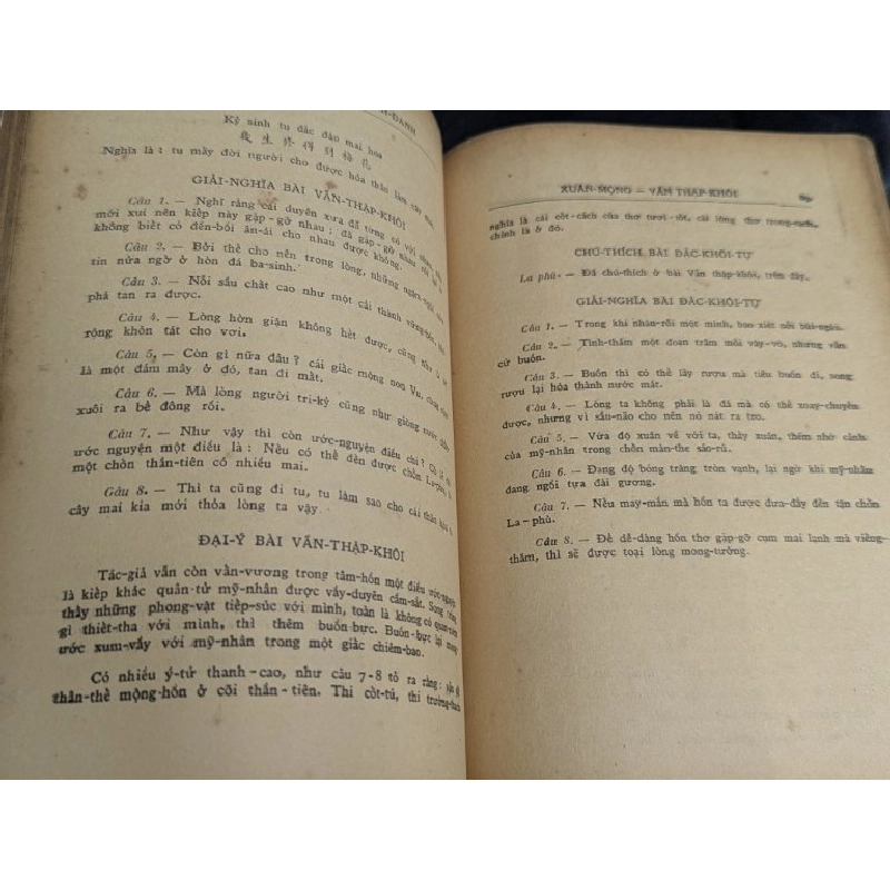 Xuân mộng - Phạm Mạnh Danh ( Tôn Thất Lương chú giải ) 462901