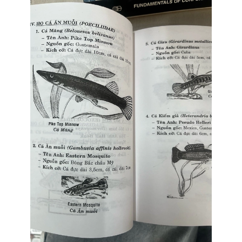 Kỹ thuật nuôi và chăm sóc các loại cá đẹp - Vĩnh Khang 929243