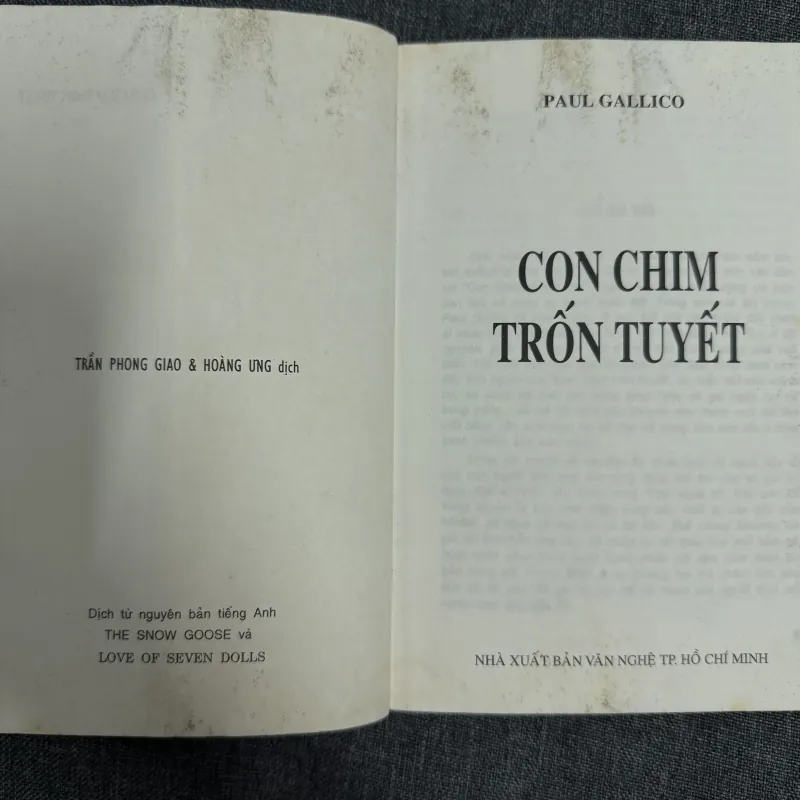 Con chim trốn tuyết - Paul Gallico 789679
