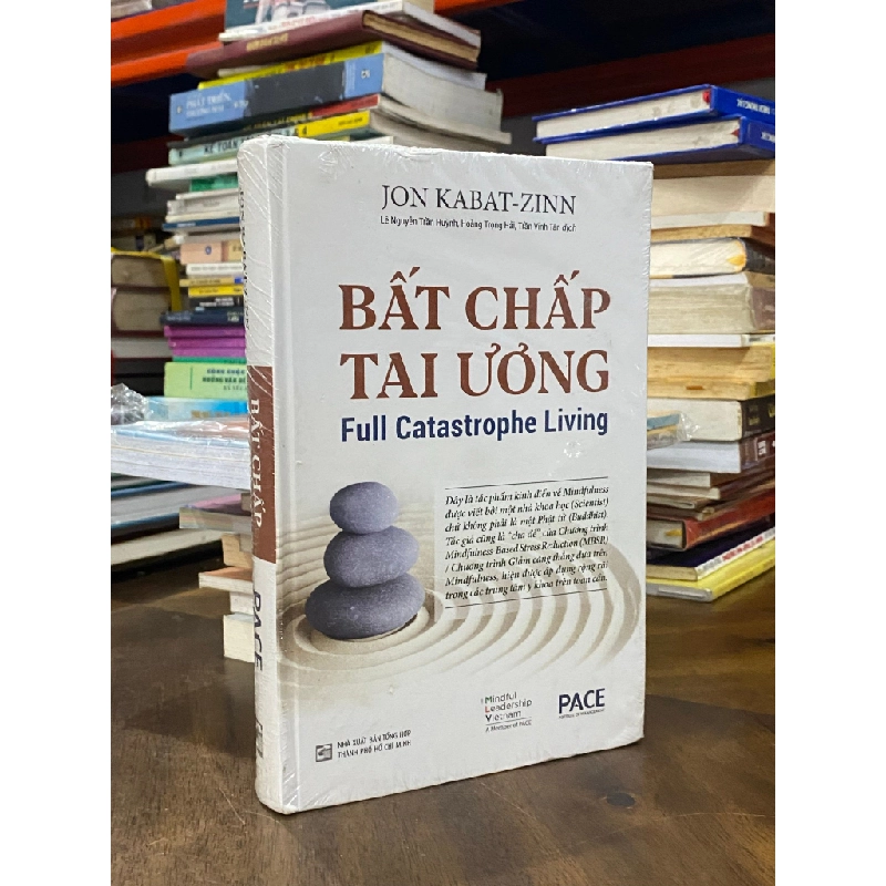 Bất chấp tai ương - Jon Kabat-Zinn 416913
