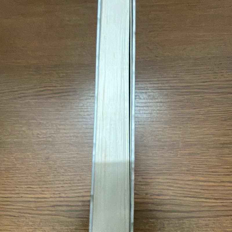100 viên gạch xây dựng kỹ năng lãnh đạo Tom Salonek 357959