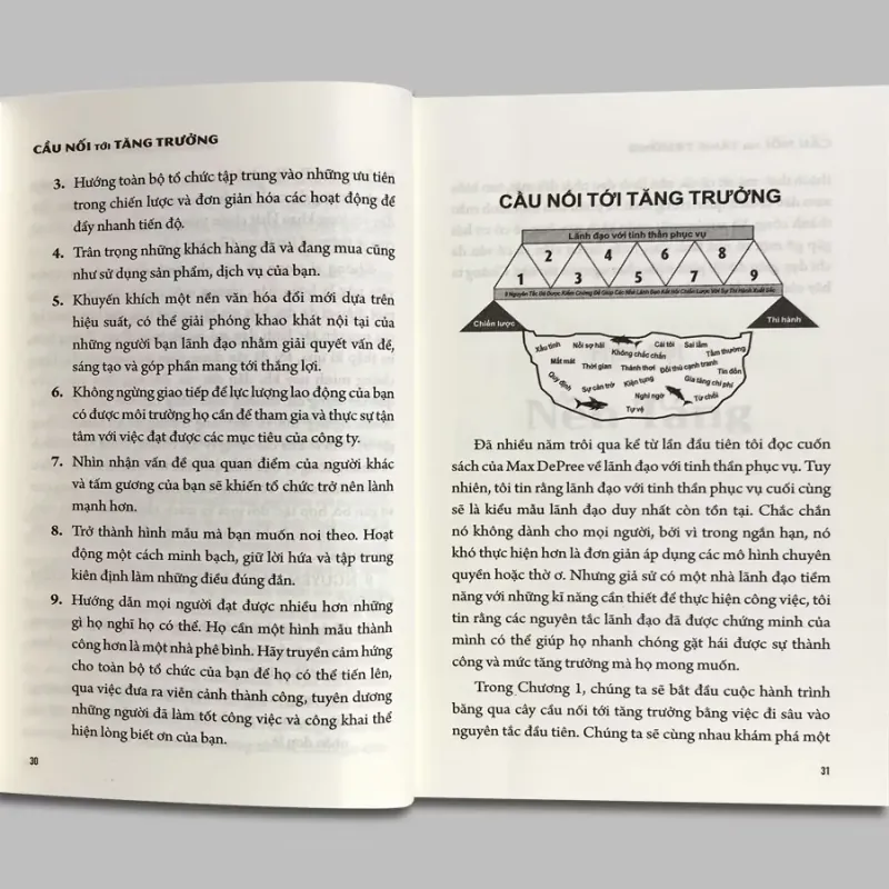 SÁCH: CẦU NỐI TỚI TĂNG TRƯỞNG 941754