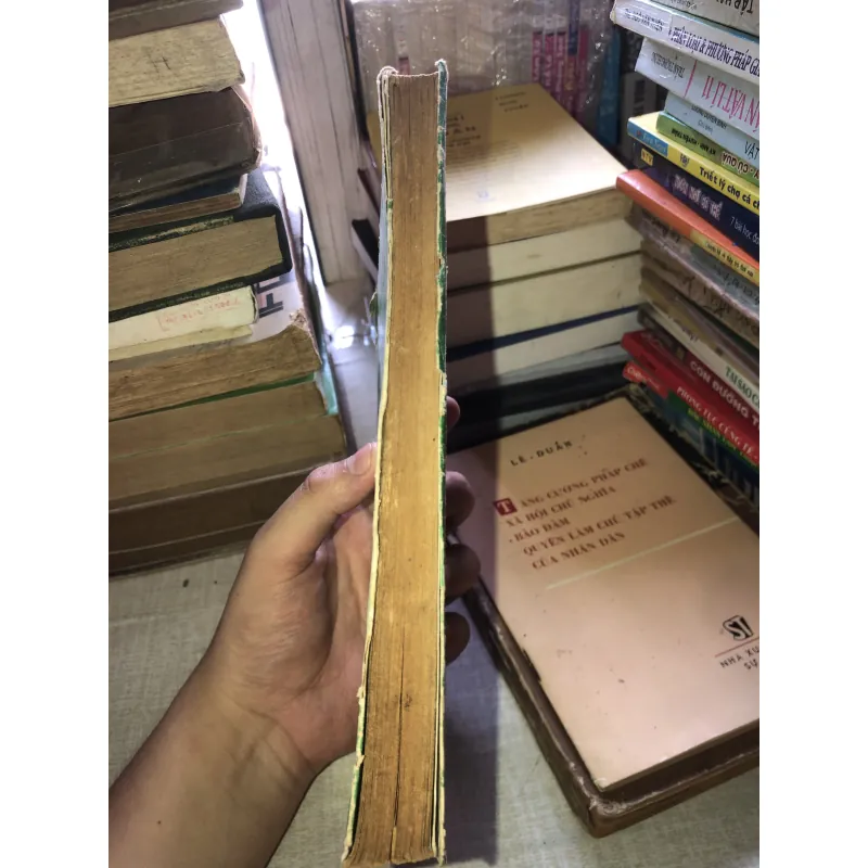 Sách dạy cắm hoa Nhật Bản 973107