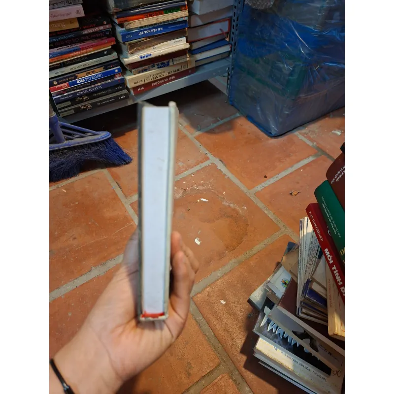 Khảo chứng tiền sử VN 933797