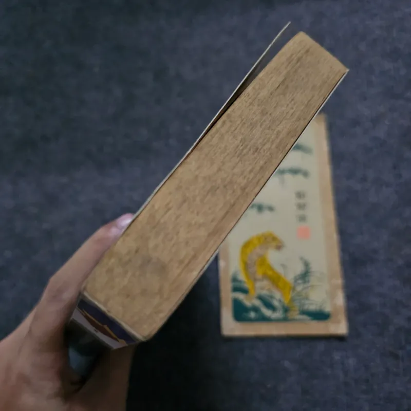 Around the world in eighty days and five weeks in a balloon 747355