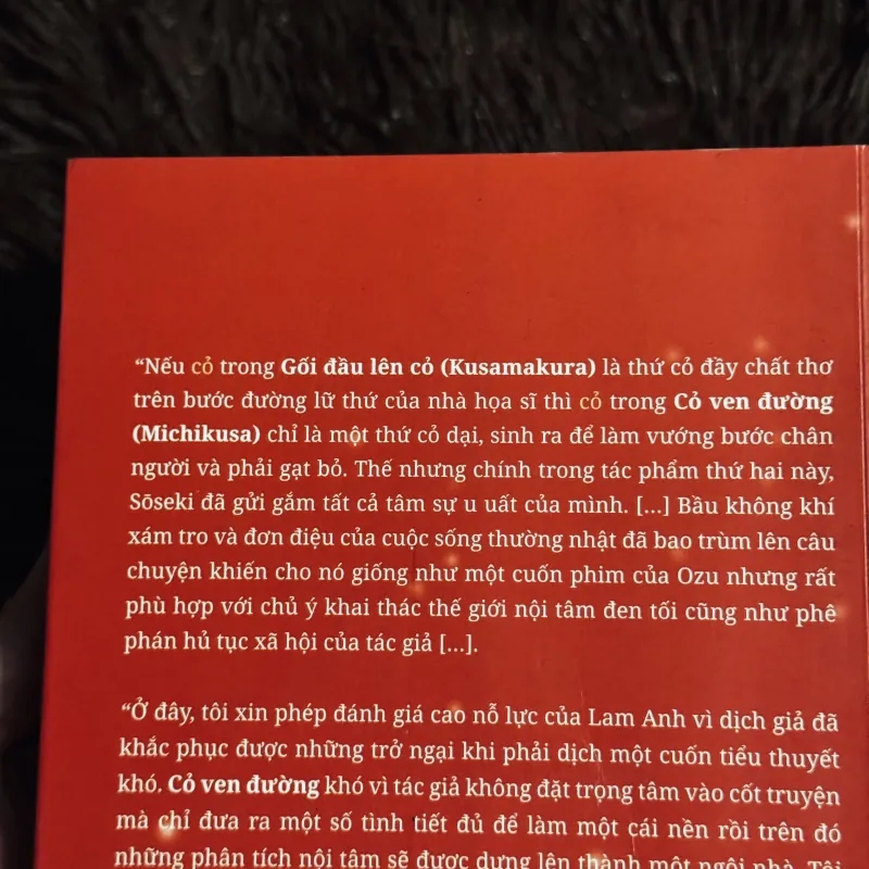 Cỏ ven đường 999175