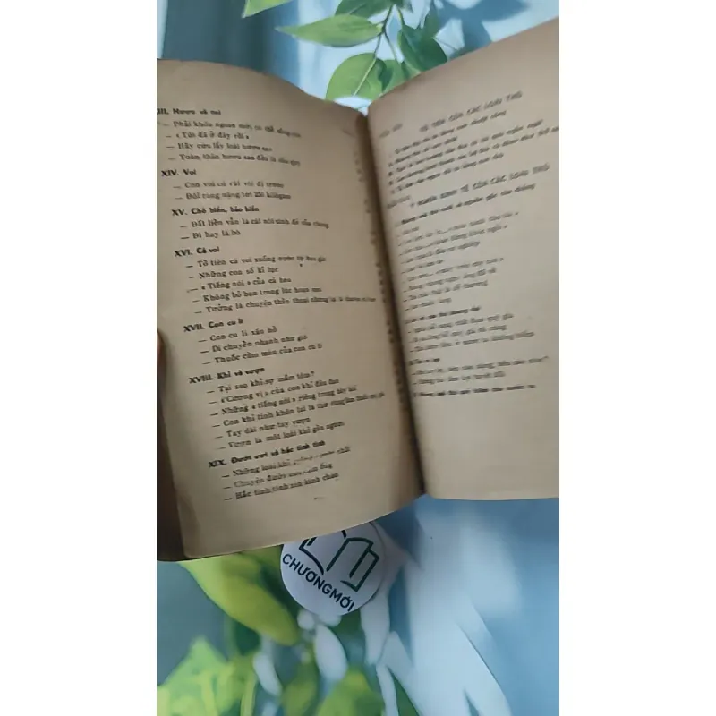 [XƯA] Tìm Hiểu Các Loài Thú (1988) - Lê Vũ Khôi 775993