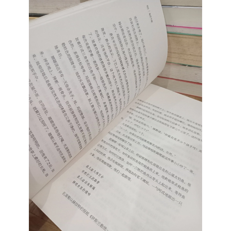 Sách tiếng Trung 21: A thousand splendid suns 730808