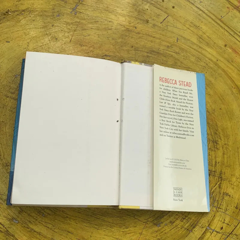 GOODBYE STRANGER - REBECCA STEAD 762299