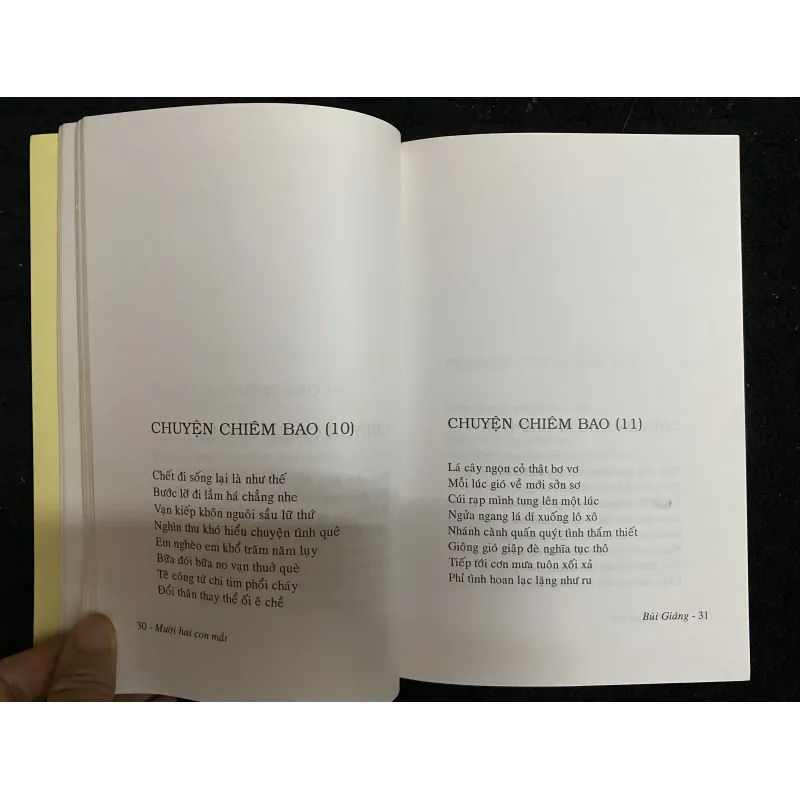 12 con mắt- Bùi Giáng 1027657