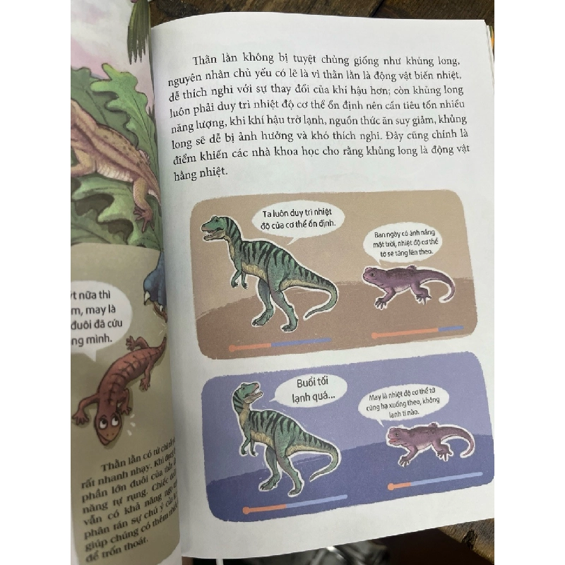 Cuộc Chiến Sinh Tồn Của Khủng Long Giống Loài Đã Biến Mất - Nhiều tác giả 449017