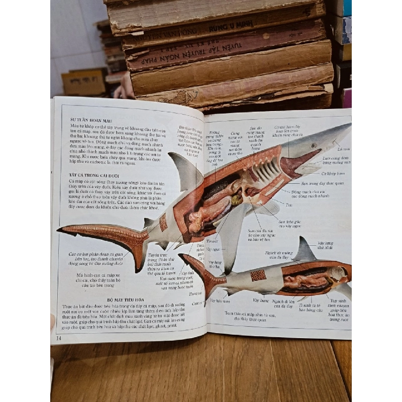 Tủ sách kiến thức thế hệ mới (2007) - Nhiều tác giả 782765