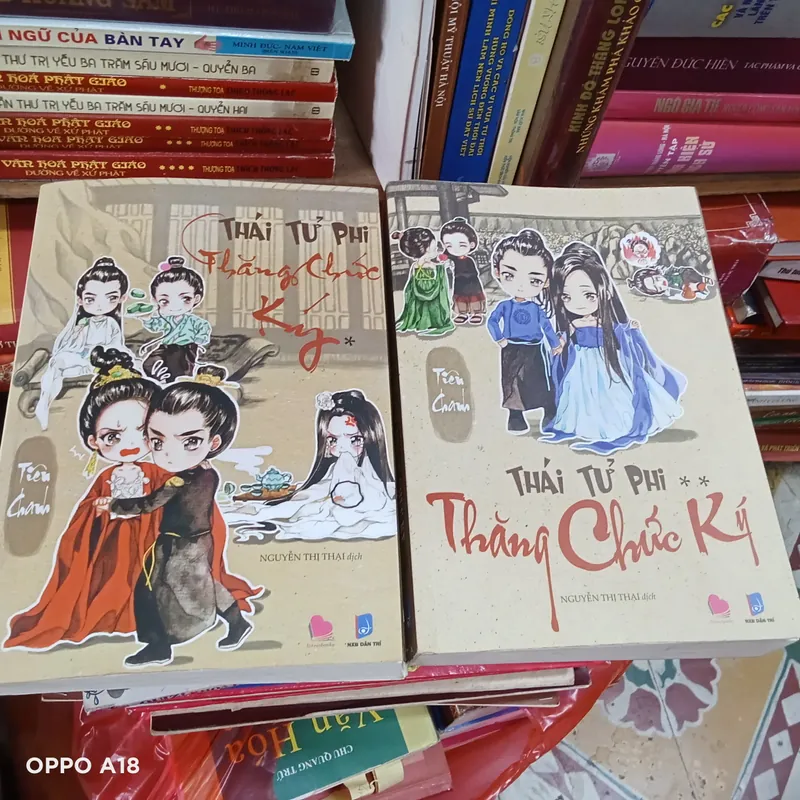 Thái Tử Phi Thăng Chức Ký 2 Tập- Tiên Chanh 576061