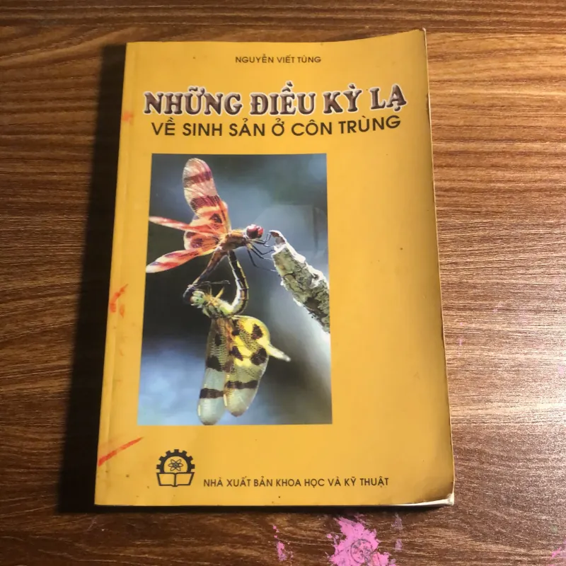 Những điều kỳ lạ về sinh sản ở côn trùng 989816