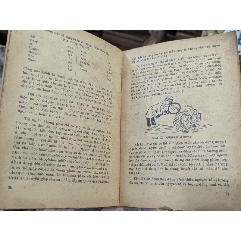 BÍ ẨN CỦA SỰ SỐNG - NGÔ TUẤN KỲ & HOÀNG CHƯƠNG 181427