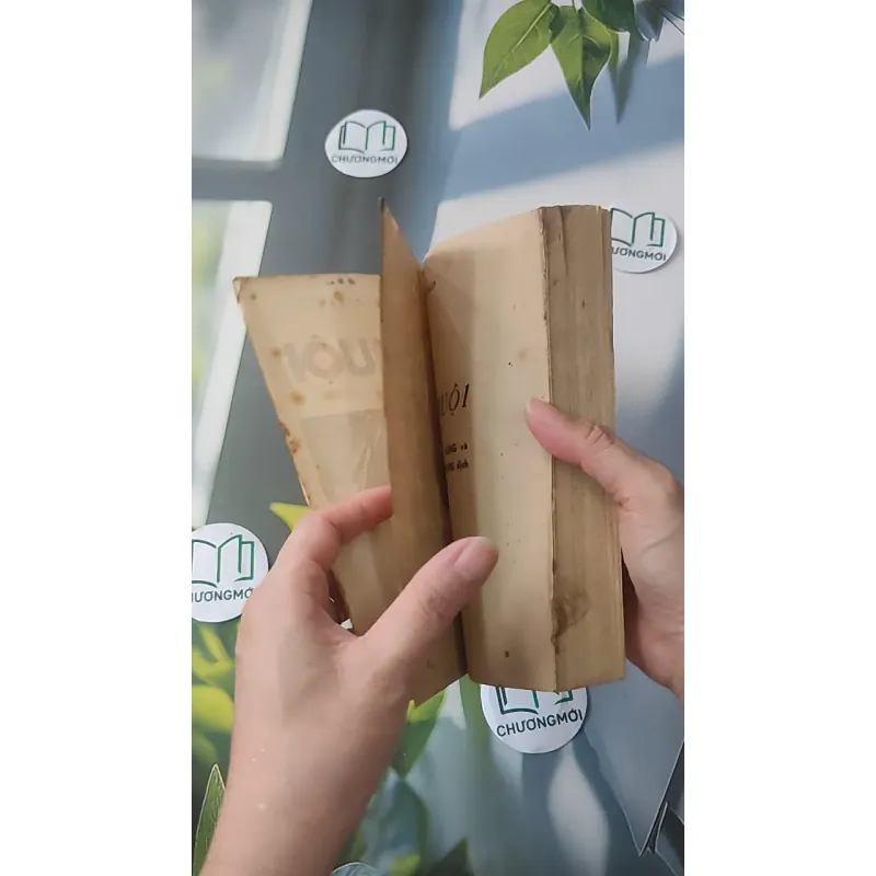 [XƯA] Mê Muội (1987) - Paven Nilin 997734