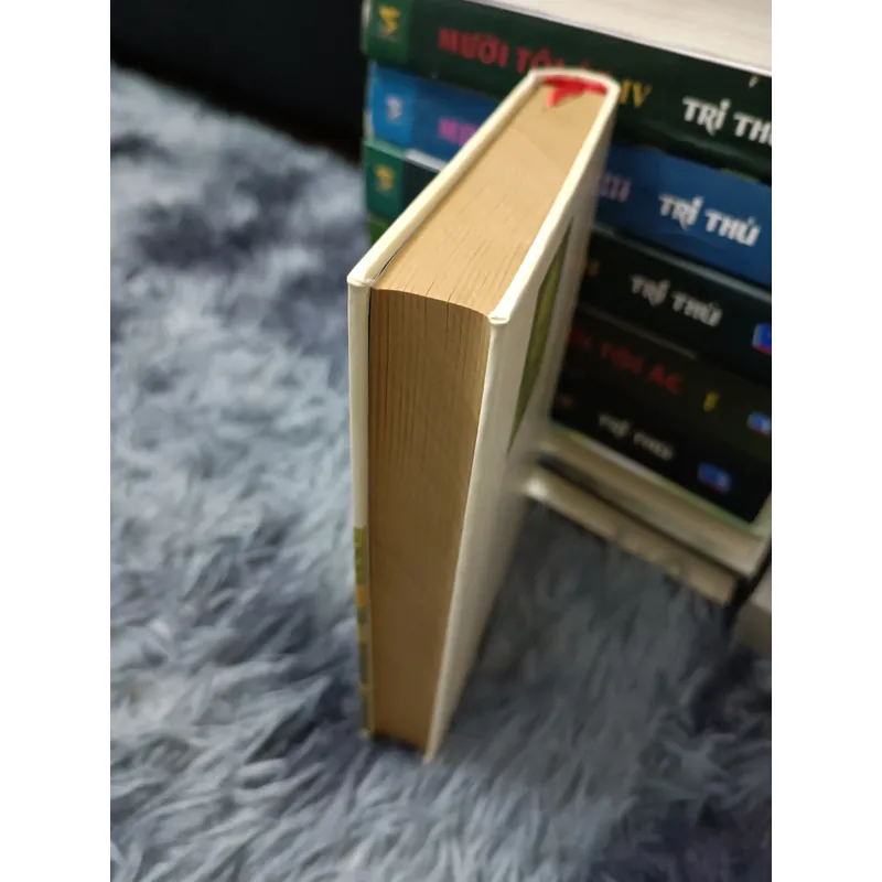 Người chồng muôn thuở (Dostoievski) 396912