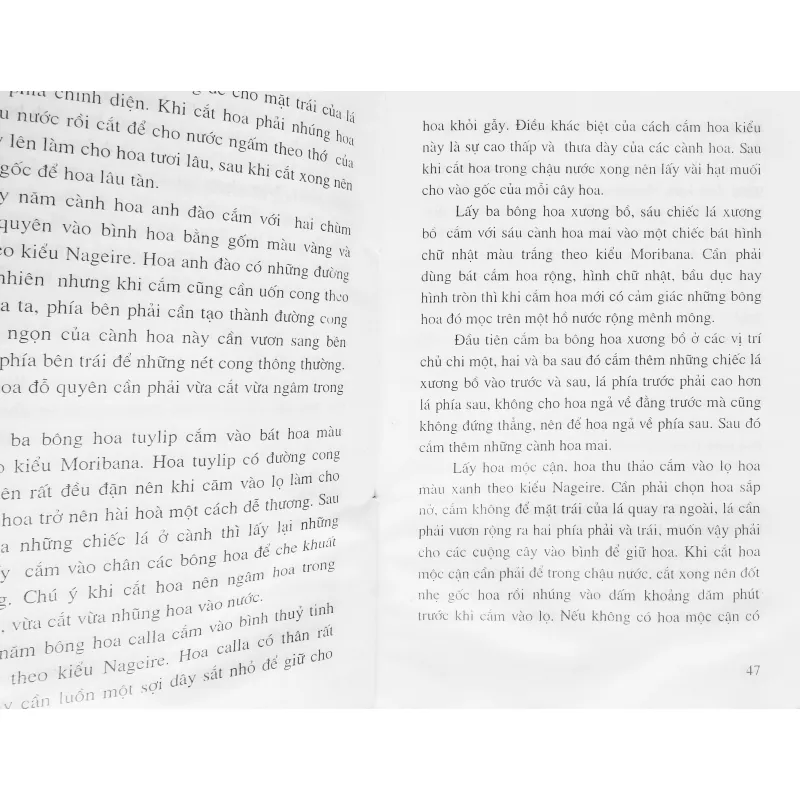 Thế giới Hoa & biểu tượng 14982