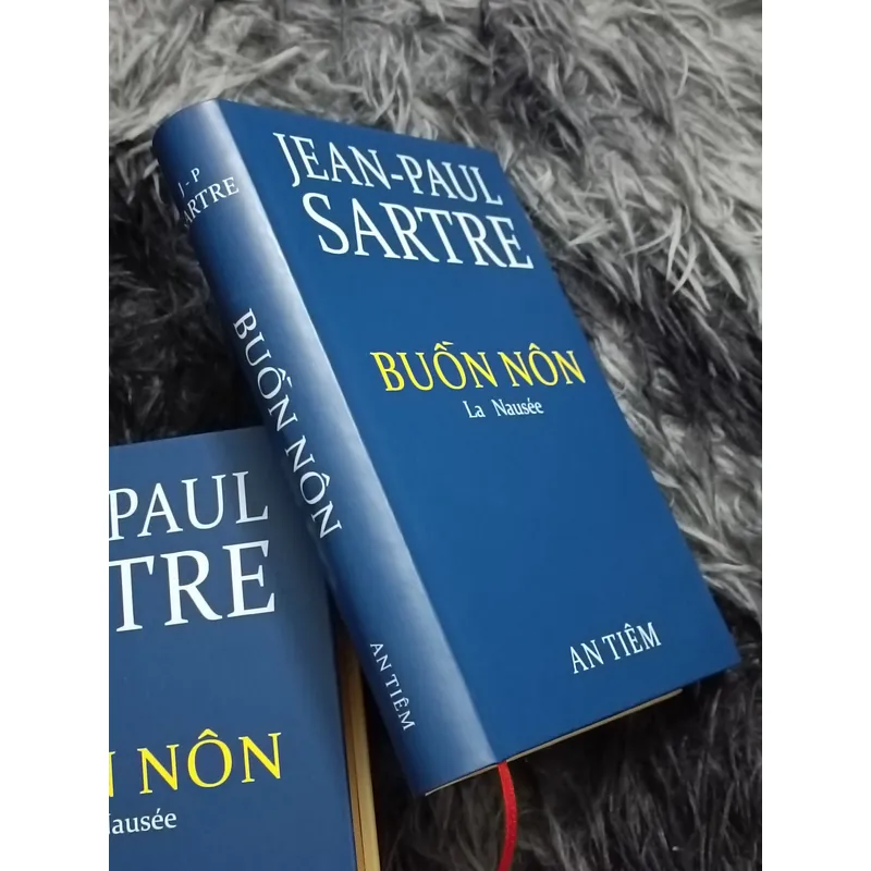 Buồn nôn (Jean Paul Sartre) 594461