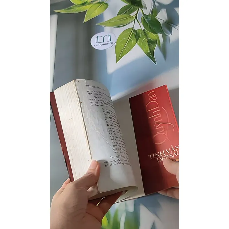 Tình vẫn đẹp sao - Quỳnh Dao 607697