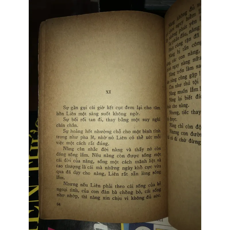 Tội và thương - Lan Khai 1020991