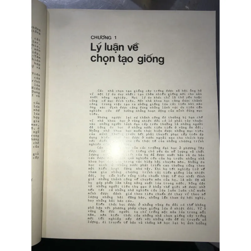 Cải tiến giống lúa  606080