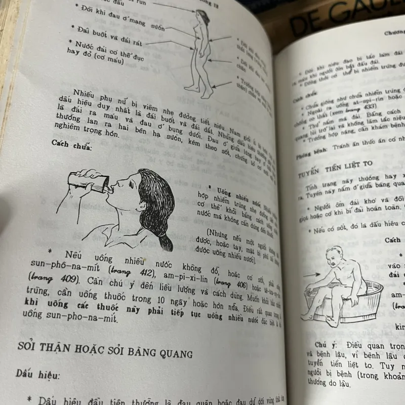 Chăm sóc sức khỏe - David Werner 709473