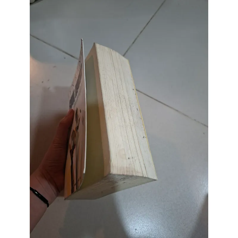 Suối nguồn 934520