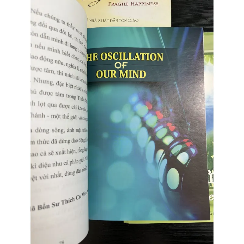 Combo 3 cuốn song ngữ: Hạnh Phúc Mong Manh-Sự Dao Động Của Tâm-Nếu Biết Rằng… 925576