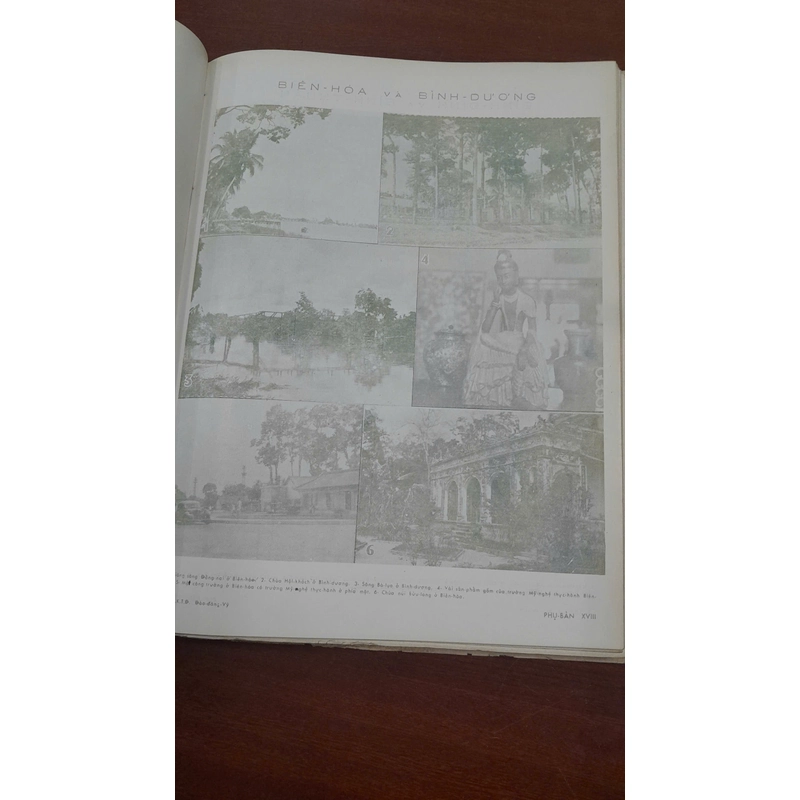 VIỆT NAM BÁCH KHOA TỪ ĐIỂN - ĐÀO ĐĂNG VỸ 276813
