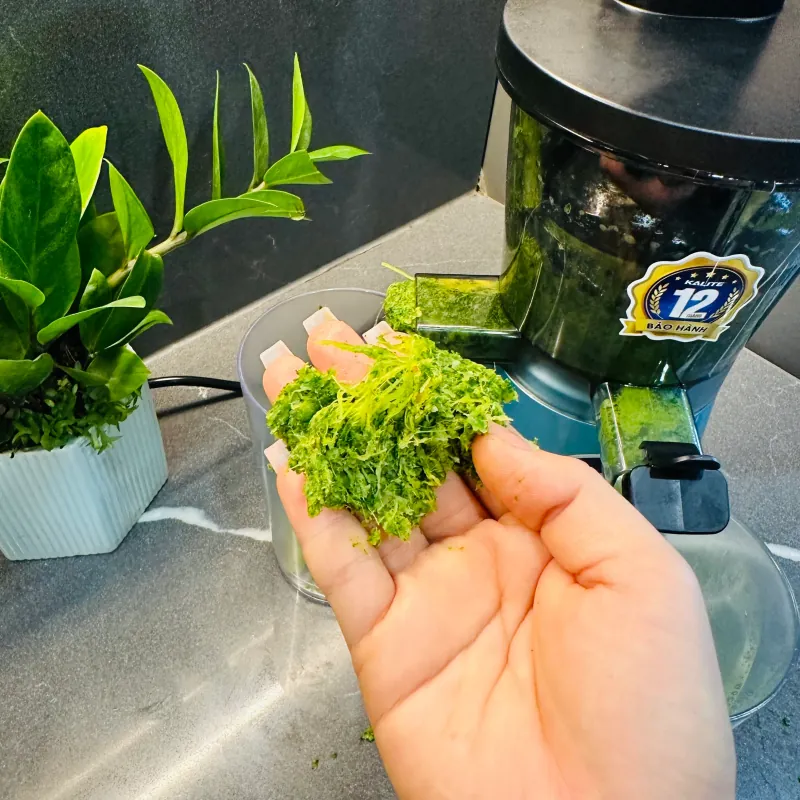 🥕 Máy ép chậm KALITE KL-530 – Nhỏ gọn mà ép kiệt bã, uống là mê! 🍎✨ 740371