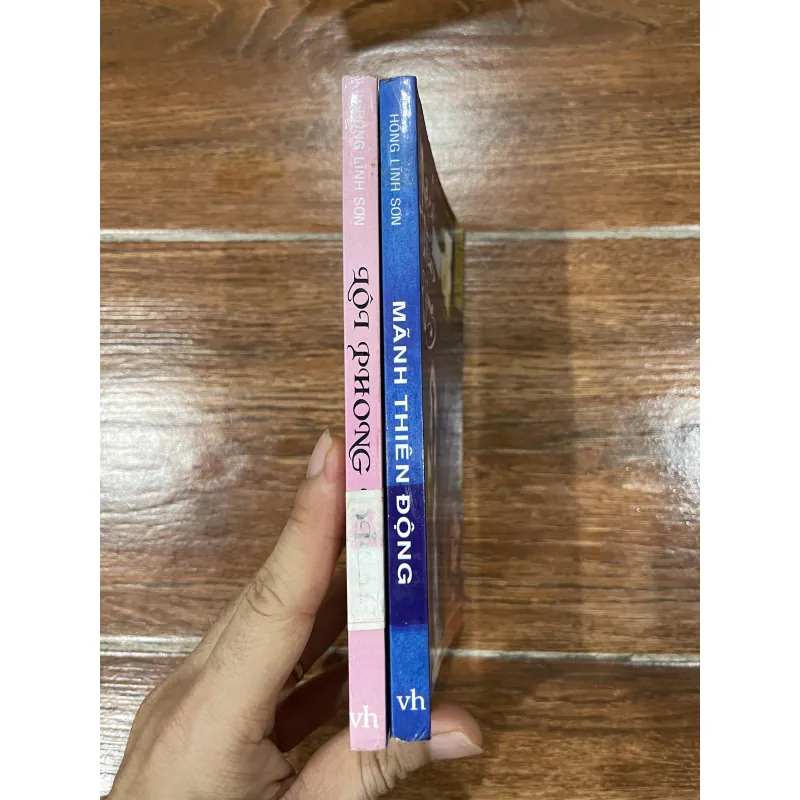 Lôi phong đỉnh + Mãnh thiên động - Hồng Lĩnh Sơn (8) 1003409