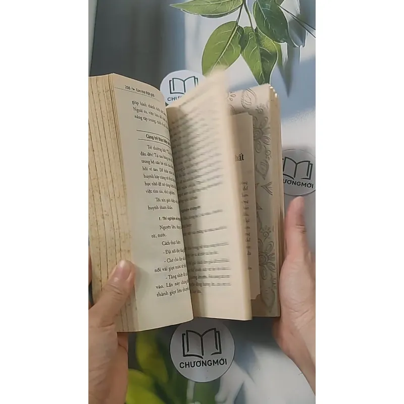 Con mẹ giỏi thật - Trương Binh 688476