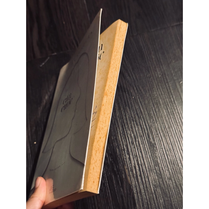 Căn cước - Milan Kundera 474860