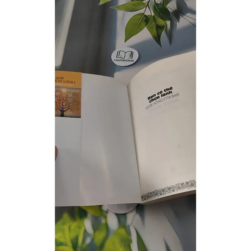 Bạn Có Thể Chữa Lành Cuộc Sống Của Bạn - Louise L. Hay 727270